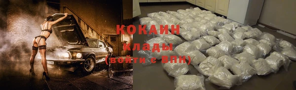 дмт Вяземский