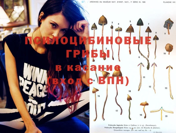 a pvp Вязники