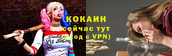 дмт Вяземский