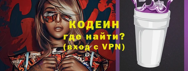дмт Вяземский