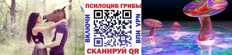 Псилоцибиновые грибы Psilocybine cubensis даркнет Telegram Павлово